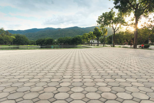 Best Commercial Driveway Pavers  in De Soto, KS